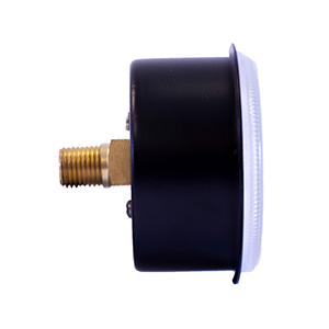 Center Back Mount